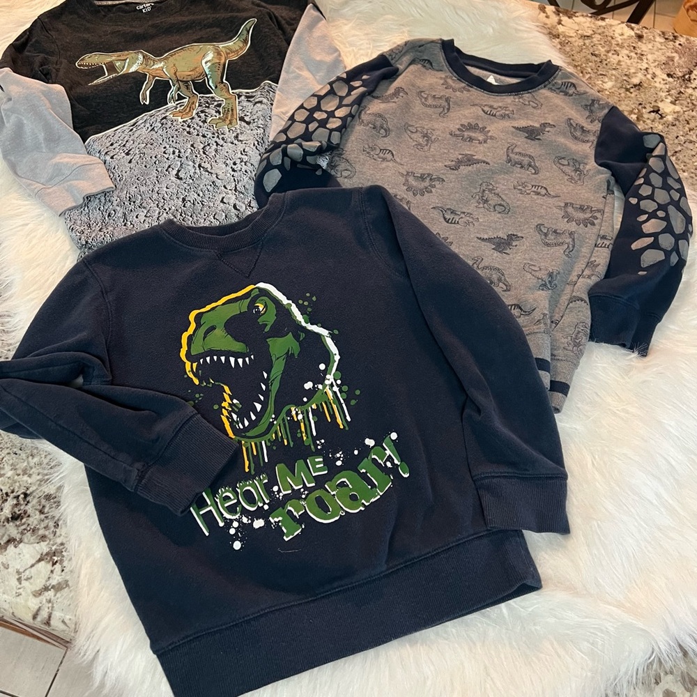 Dinosaur Themed Kids Sweatshirt - Black and Gray